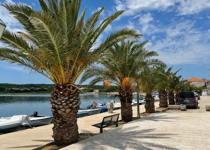 Dom wakacyjny Olive Garden Posedarje