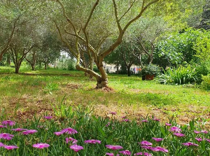 Olive Garden * Posedarje